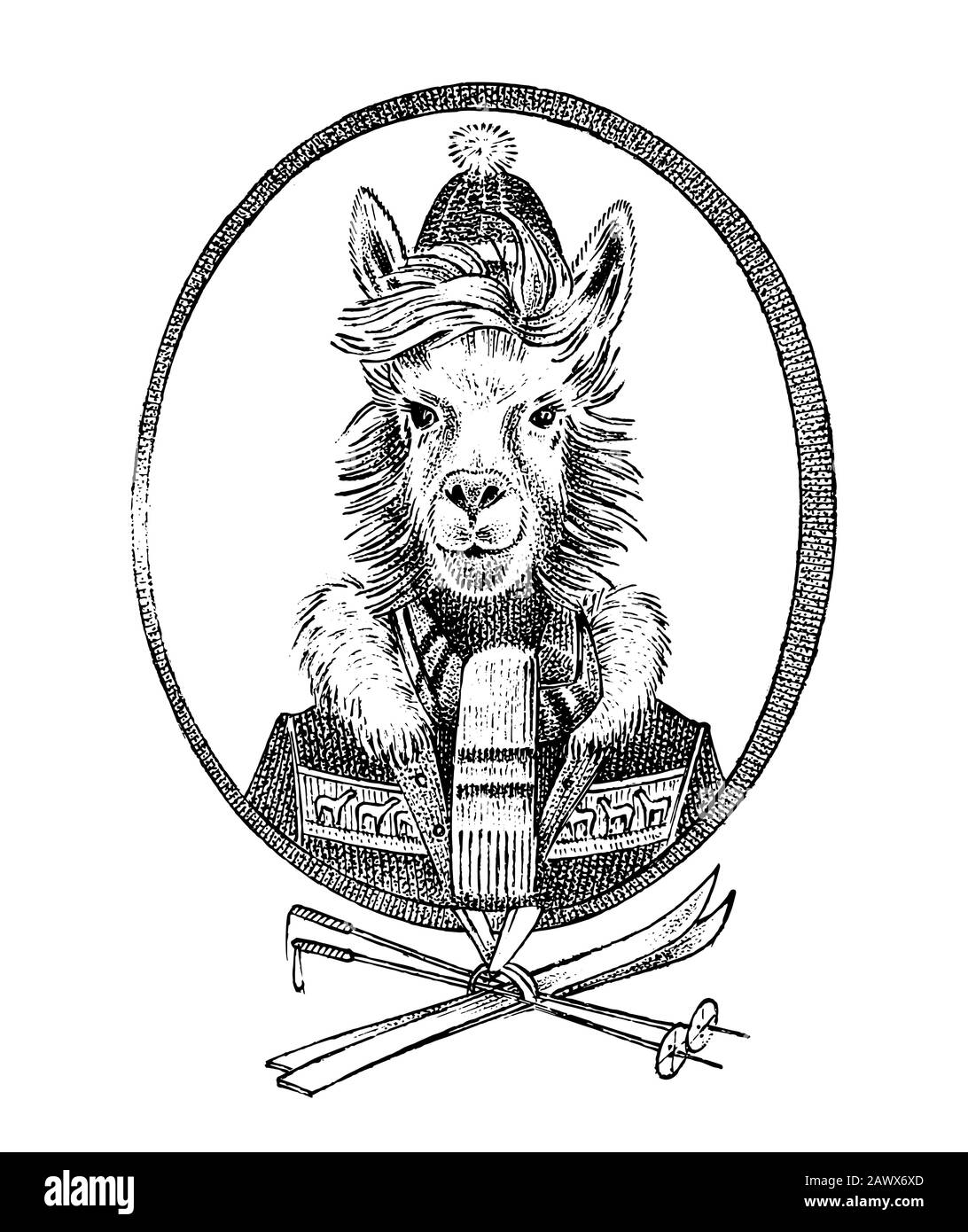 Alpaga lama skier personnage ou guanaco athlète en vêtements d'hiver. Portrait de la personne animale dessinée à la main. Croquis de mode monochrome gravé pour la carte Illustration de Vecteur