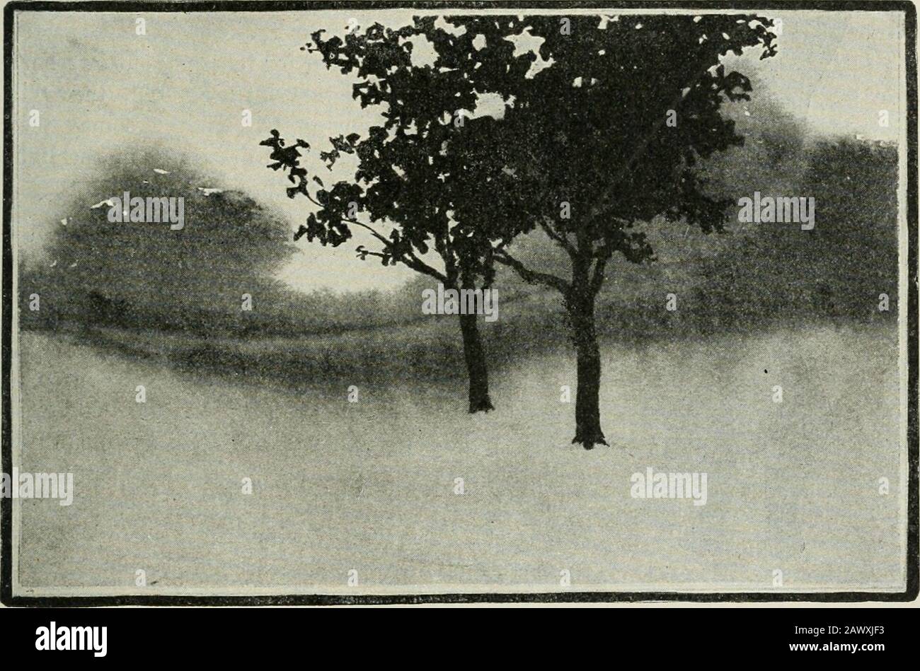 Art . PAYSAGES 125 4. Le brossage d'un lavage d'eau sur l'ensemble du rectangle 5. Lorsque le papier a cessé d'être gécoute, la mise en place du ton gris plus clair de la ligne de brosse déjà placée sur la marge inférieure du rectangle (les instructions pour la pose d'un lavage sont données à la page 135.) 6. La forme hors de la masse inégale des bois éloignés de la brosse s'alignent contre le ciel, alors qu'elle est encore humide. ENCRE PAYSAGE IK 7. Lorsque le paysage est presque sec, le ])ainting des arbres dans le fond, avec l'encre non diluée 8. Le dessin d'une ligne de pinceau et d'encre ferme mais étroite au-dessus de la TH Banque D'Images