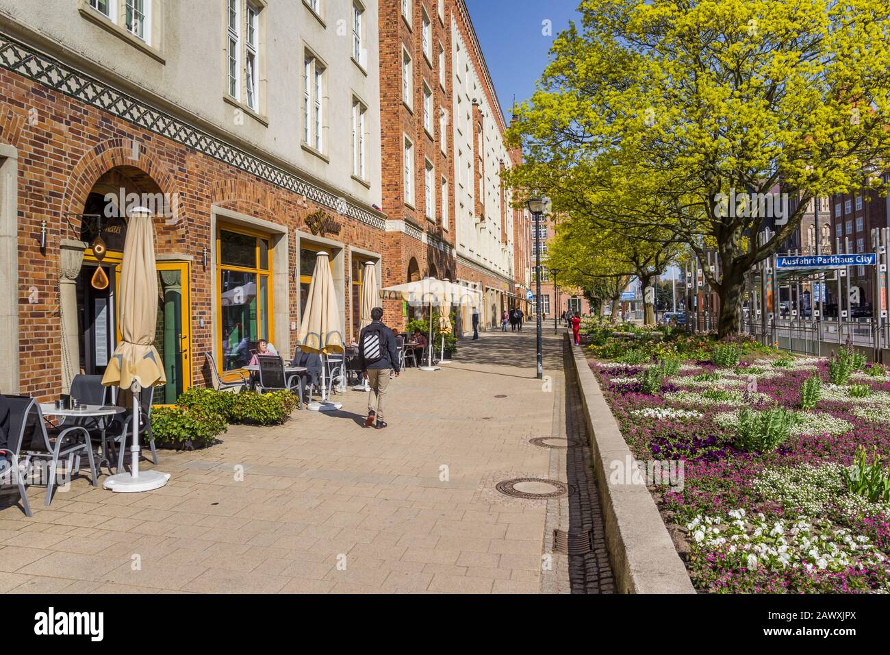Restaurant et flowerbed dans le centre de Rostock, Allemagne Banque D'Images