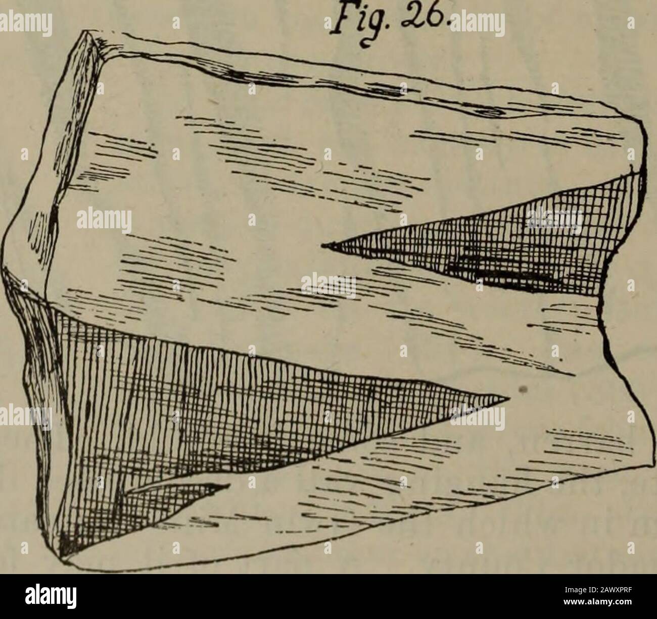 Rapport annuel du Minéralogue de l'État pour l'année se terminant ... . One.la veine principale de la mine Amador Queen est à l'ouest de la Zeile, et theHardenberg est à l'ouest de la reine Amador. Entre l'exsion du nord de la veine Mammoth et celle de l'est, la terre est presque située. La roche est en partie une diorite décomposée (403) et en partie aslate, contenant de petites veines irrégulières. La veine principale de la mine d'or AmadorQueen a une forte gouge sur le mur suspendu. La trempage des quatre veines qui sont travaillées est à peu près la même, c'est-à-dire 56 degrés. Une largeur de roche de 60 à 70 pieds est wor Banque D'Images