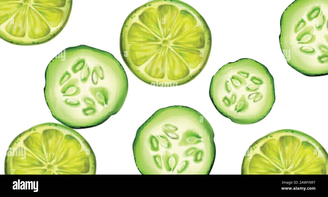 Tranches de concombre vert et de citron vert pour bannière. Vecteur de style aquarelle Illustration de Vecteur
