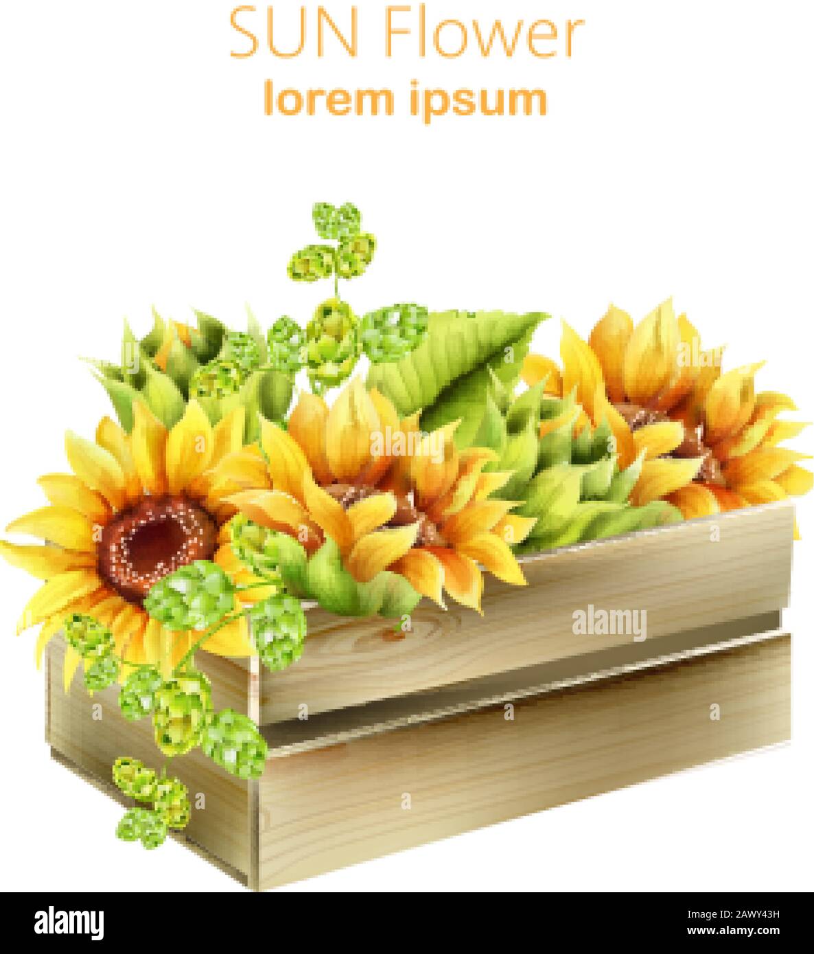 Tournesol et artichaut vert dans une boîte en bois. Vecteur de ressort aquarelle Illustration de Vecteur