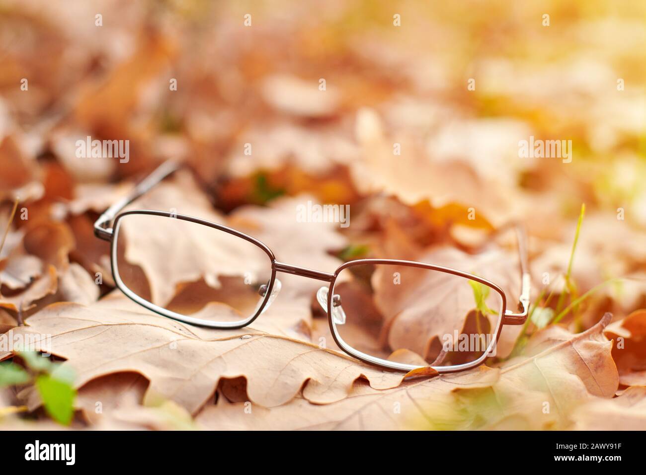 Lunettes sur le feuillage d'automne. Concept de perte de vision d'automne. Carence en vitamine avec âge. Banque D'Images