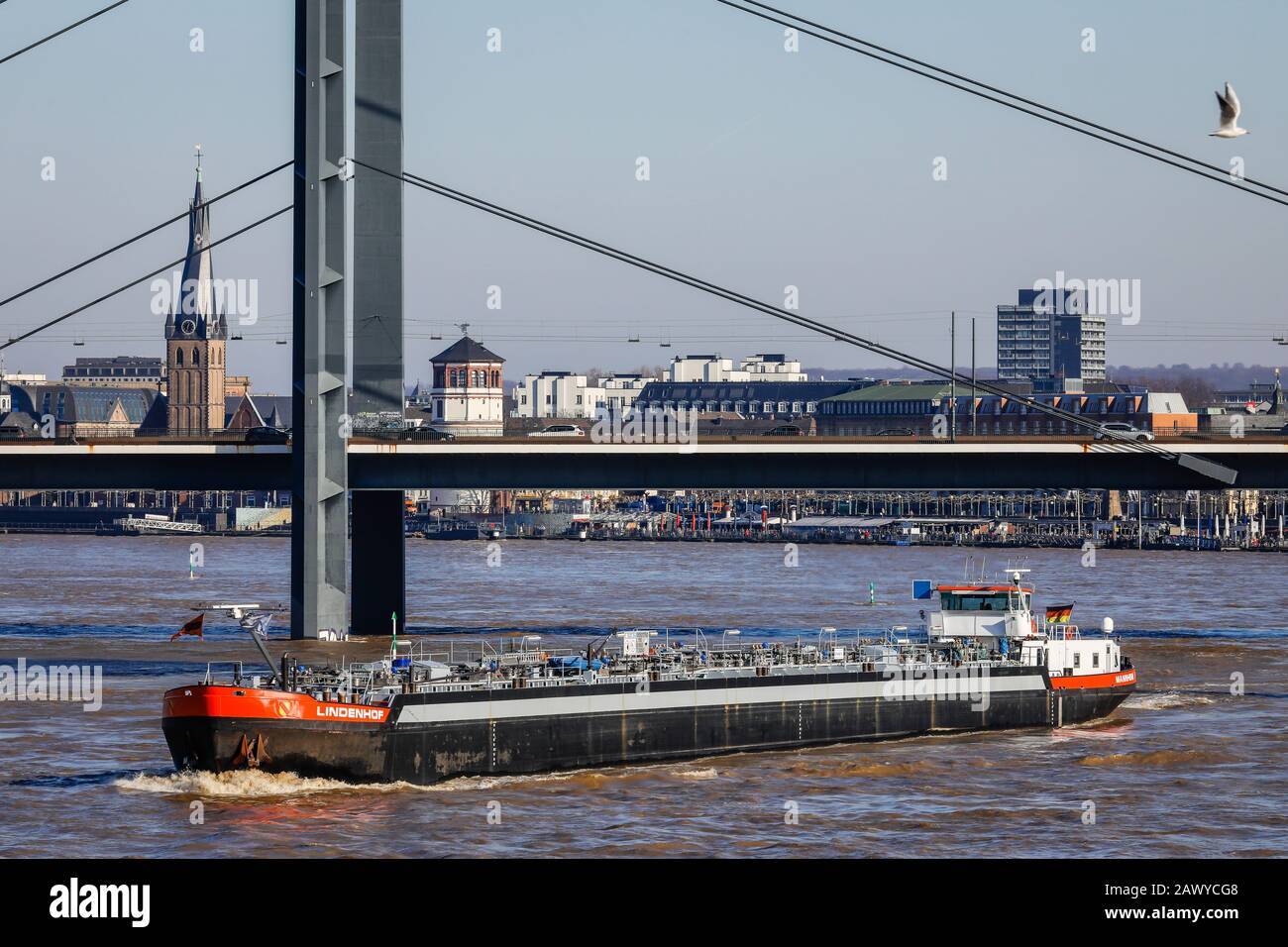 Düsseldorf, Rhénanie-du-Nord-Westphalie, Allemagne - les Freighters naviguent sur le Rhin sous le pont du genou du Rhin en haute eau. Düsseldorf, Nordrhein-Ouest Banque D'Images