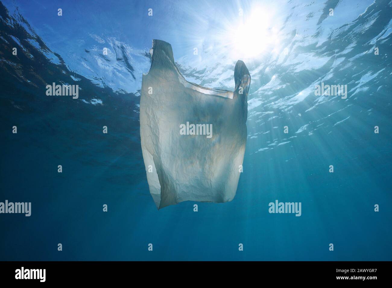 Pollution plastique dans l'océan, un sac en plastique blanc dérive sous l'eau avec la lumière du soleil à travers la surface de l'eau Banque D'Images