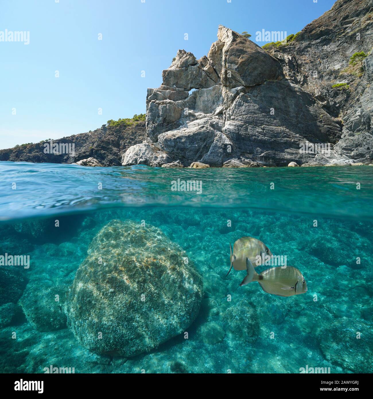 Mer Méditerranée Seascape, côte rocheuse avec poissons sous l'eau, vue partagée sur et sous la surface de l'eau, Espagne, Costa Brava, Colera, Catalogne Banque D'Images