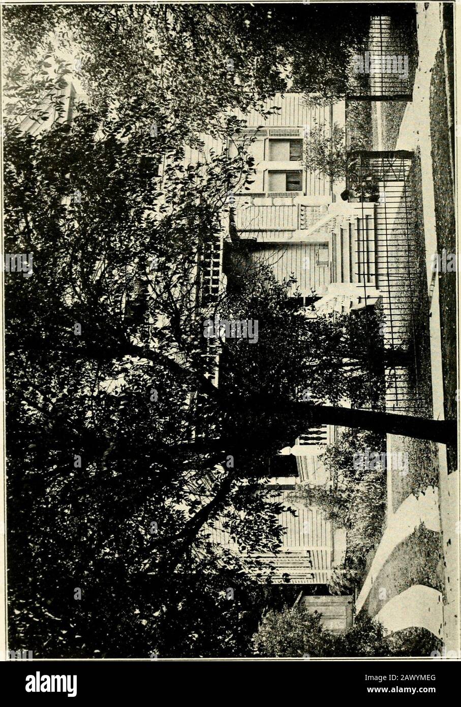 Registre général des membres de la fraternité Phi Kappa Sigma, 1850-1920 . ried, 17 juin 1903, Ethel M. Lewis. Mort à White Plains, N. Y., le 17 avril 1913. *Jacob Battle, Jr., Rocky Mount, N. C. Né à Yorkville, S. C, 22 avril 1875. Fils de Jacob et IvaIsabella (Steele) Bataille. Entreprise d'assurance, 1897-1904; marchand de tabac, 1904^09. Marié, Le 18 Février 1897, Mattienash Wright. Mort À Westbrook Sanitarium, Près De Richmond, Virginie, Le 3 Juin 1913. Charles Root Turner, A.B. ; M.D. [Univ. Col. Med., Richmond, Virginie.] ; D.d.d.s. [Pennsylvanie] A), Philadelphie, Pa. 3930, Rue Locust.Born A Banque D'Images