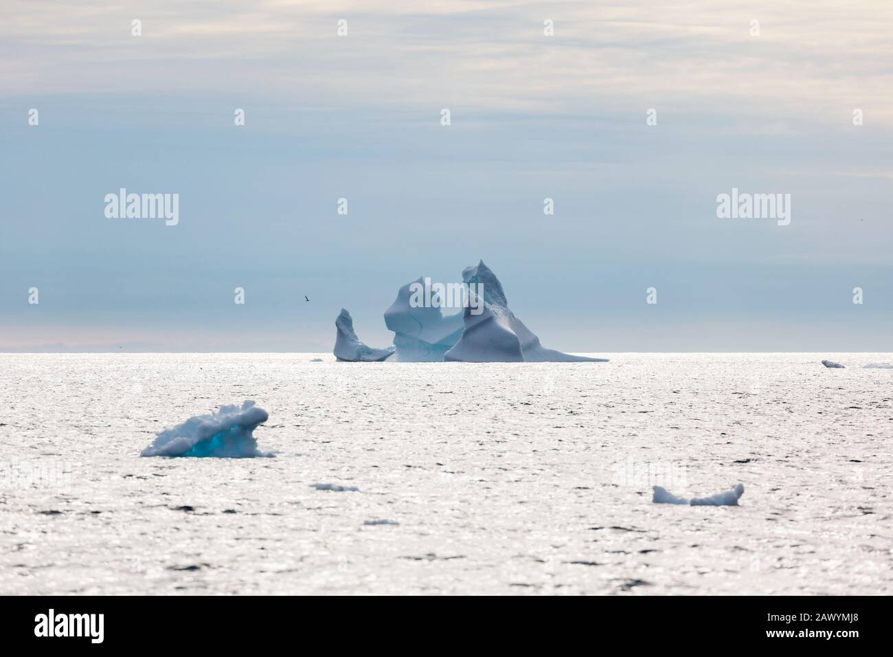 Formation d'iceberg sur l'océan Atlantique Groenland Banque D'Images