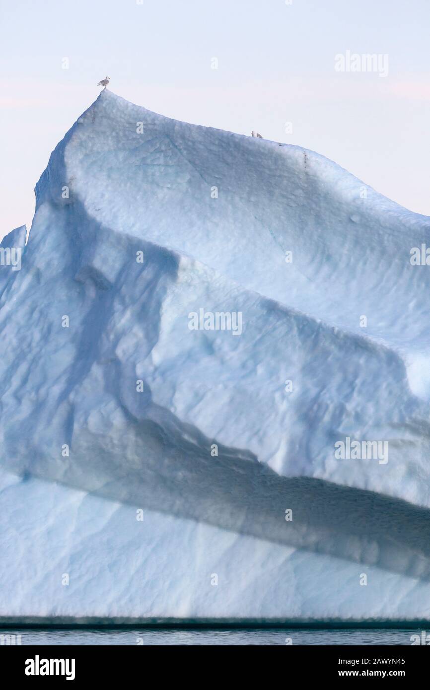 Oiseau perché au sommet d'un majestueux iceberg Groenland Banque D'Images