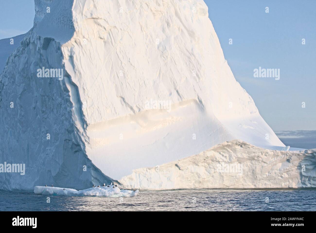 Majestueux iceberg ensoleillé formation Groenland Banque D'Images