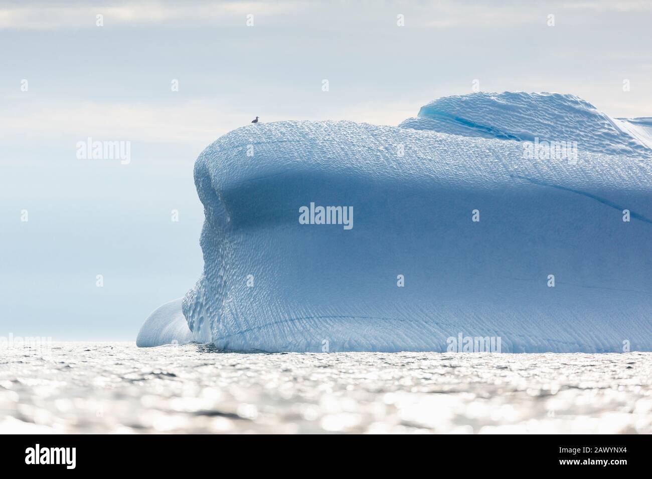 Majestueux iceberg sur l'océan Atlantique ensoleillé Groenland Banque D'Images
