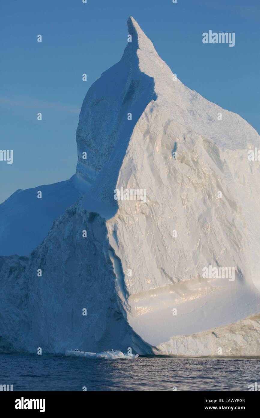 Majestueux iceberg Groenland Banque D'Images