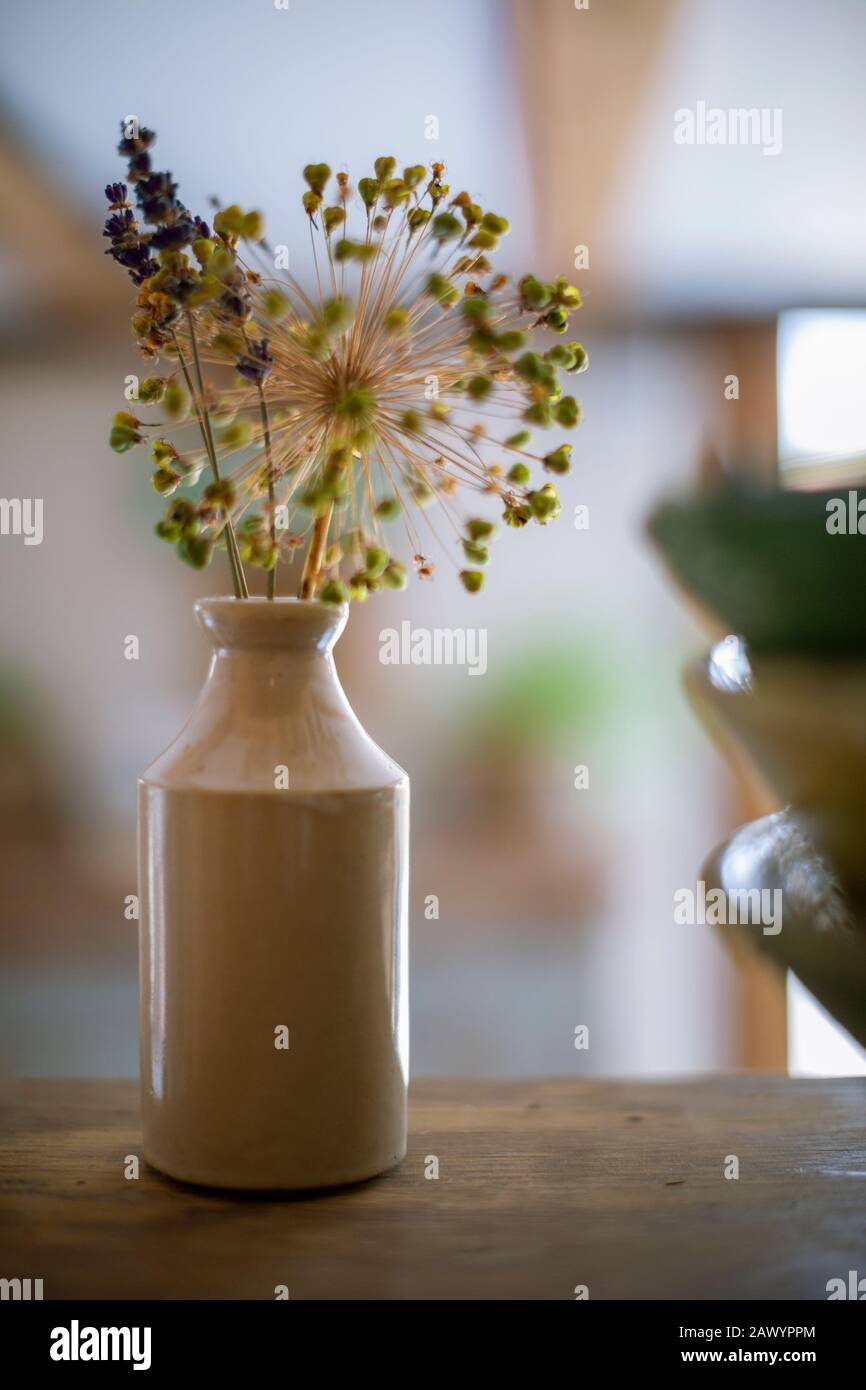 Tiges de fleurs rustiques en vase céramique Banque D'Images
