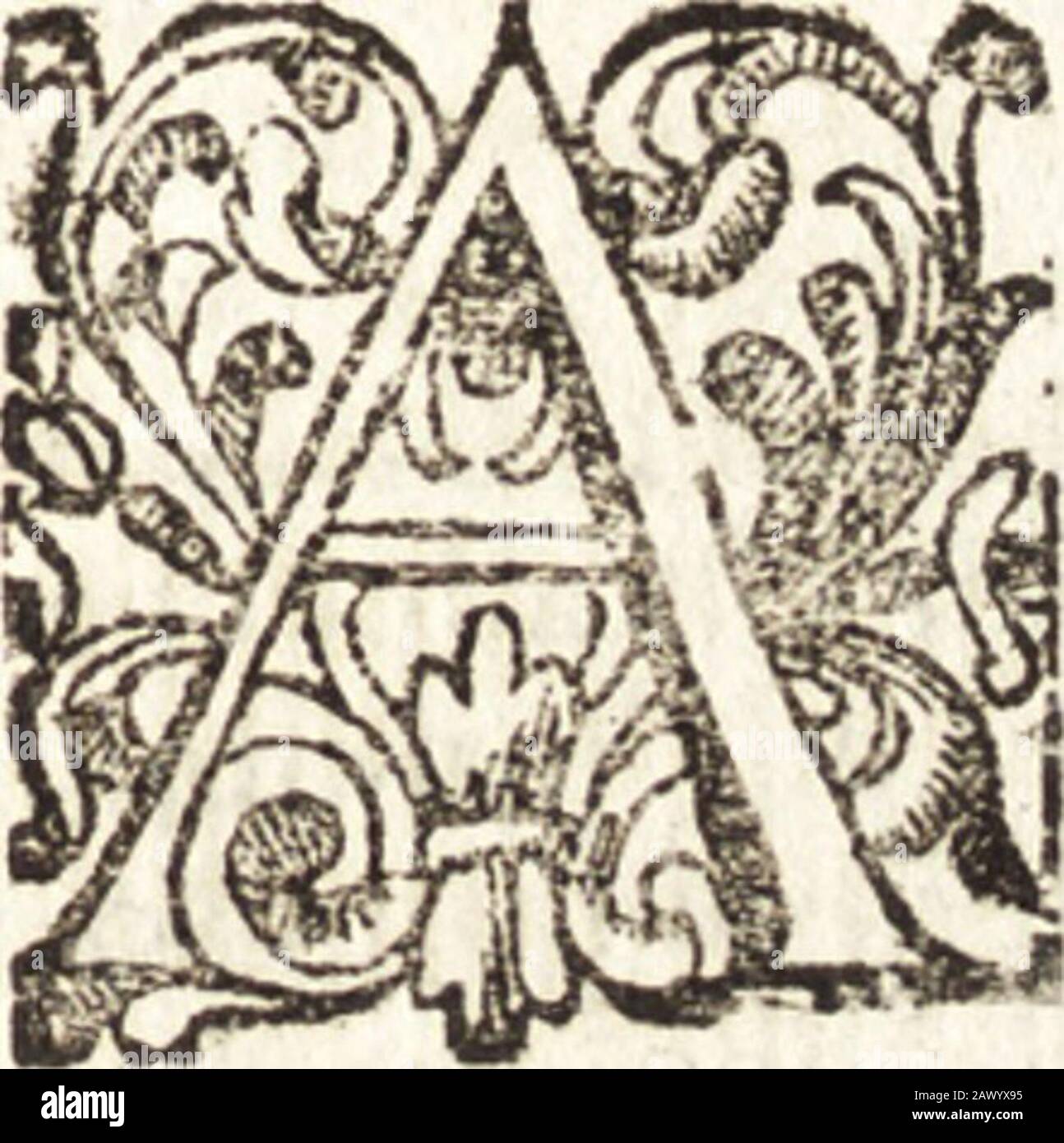 Notizie de' professori del disegno da Cimabue in qua : per le quali si dimostra come, e per chi le bell' arti di pittura, sculptura, e architettura lasciata la rozzezza delle maniere greca, e gottica, si siano in questi secridotte all' antica loro perzione . SIA ISkìLÌ *&JLZ ARNOLFO DI LAPO, ovvero DI CAMBIO, SCULTORE E ARCHITETTO DA COLLE DI VALDELSAVtfcepolo di Cimabve . Nate 1232. Morto 1300. Vendo io fra le notizie di Cimature, i! Primo che megTiorawolArte dcJ Difegno,in parte fatto vedere Io (lato infelice, inch&jella fi trouaua tempi fuoi, e fino da piti Secoli auanti ; ed-emen do Banque D'Images