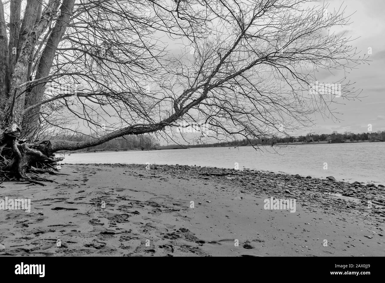 Delaware River Bank paysage, Pennsylvanie, États-Unis Banque D'Images