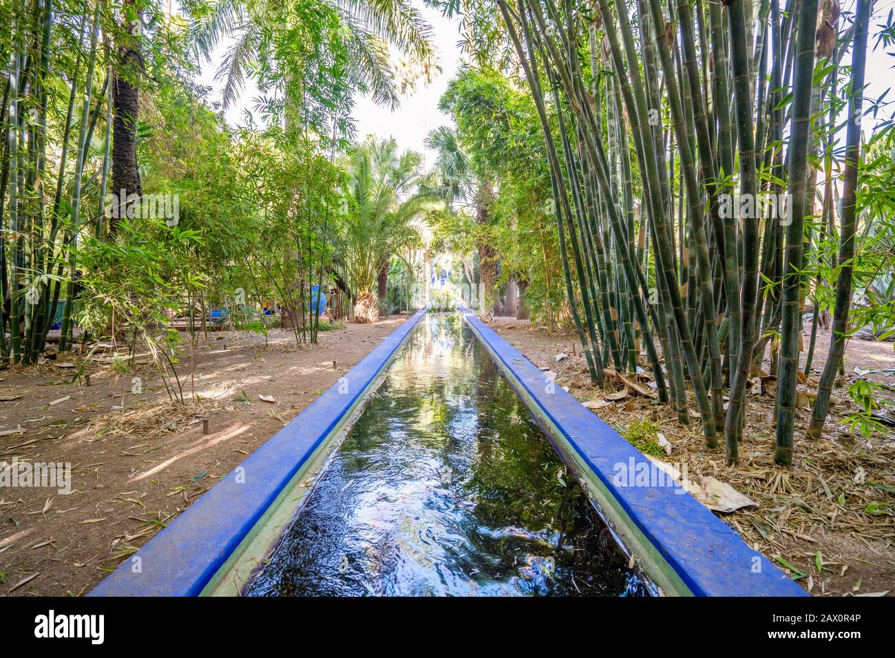 Marrakech, Maroc - 15 Janvier 2020 : Beau Jardin Majorelle Créé Par Yves Saint Laurent Banque D'Images