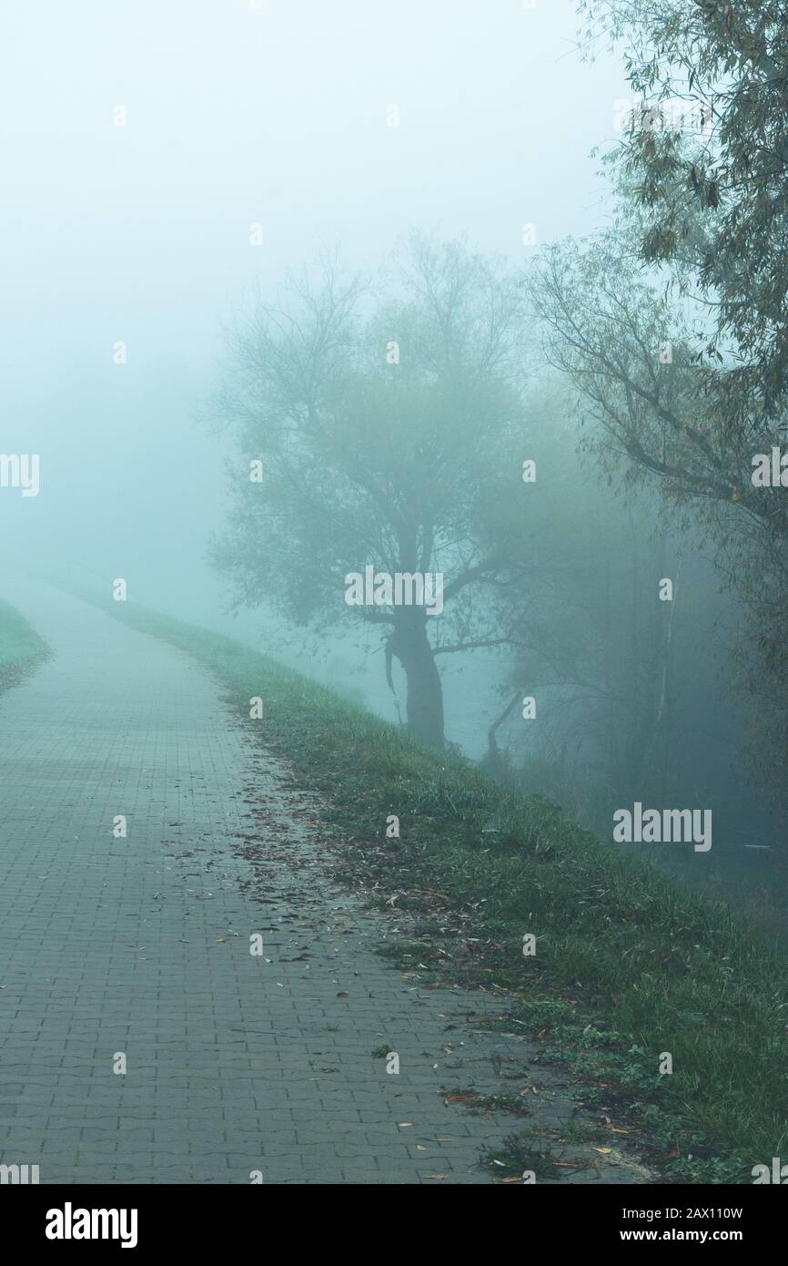 Ruelle de parc d'automne dans un brouillard dense - paysage d'automne brumeux de la ruelle solitaire avec des arbres nus et des feuilles d'orange déchue Banque D'Images