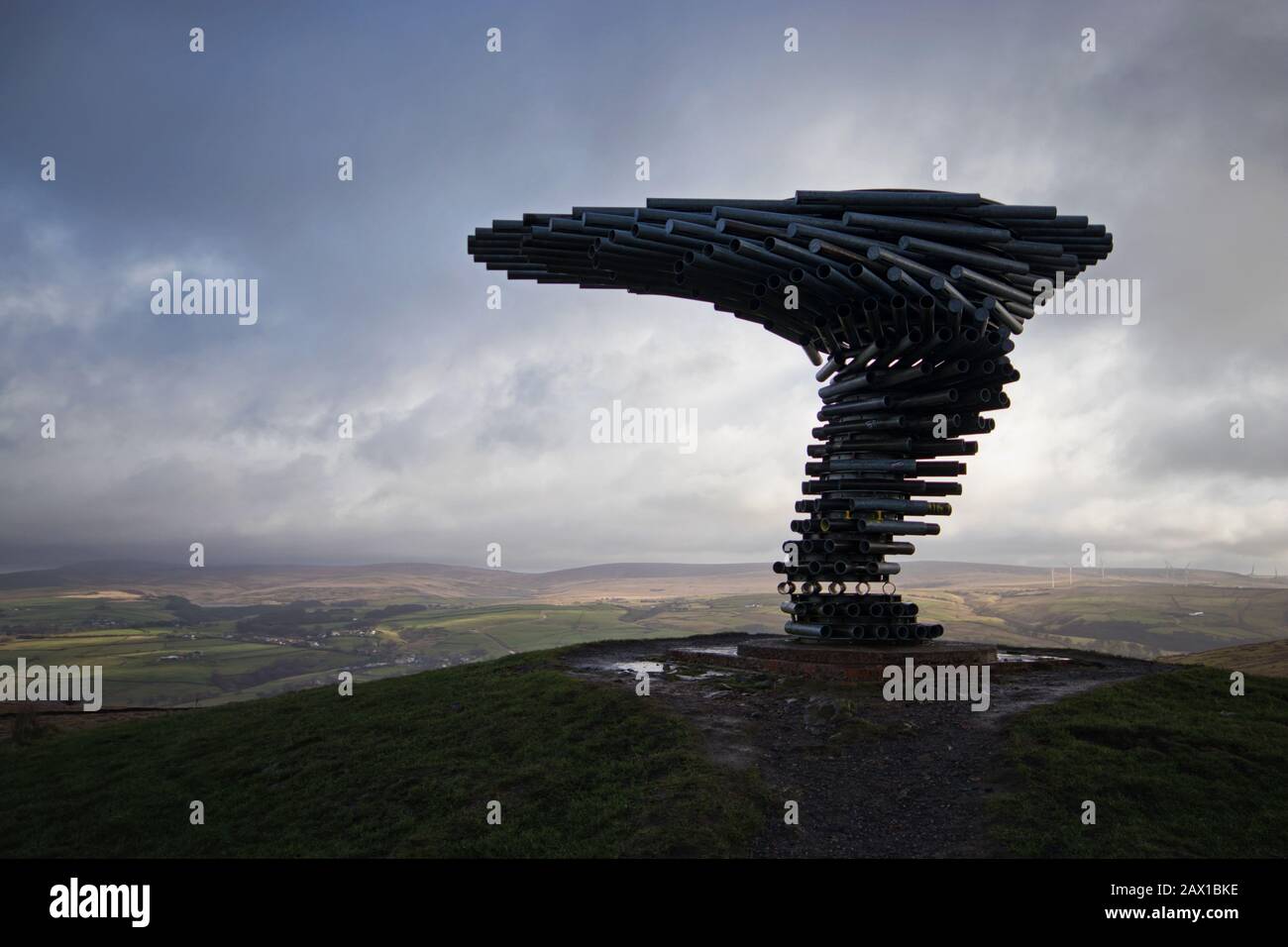 La lumière tombe sur les collines lointaines, vue de L'arbre Chantant de sonnerie par temps extrême Banque D'Images