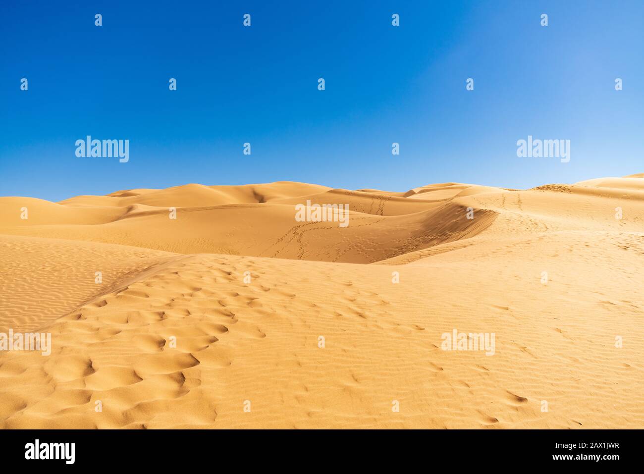 California Algodones Dunes De Sable Dans Le Désert De Sonoran Banque D'Images