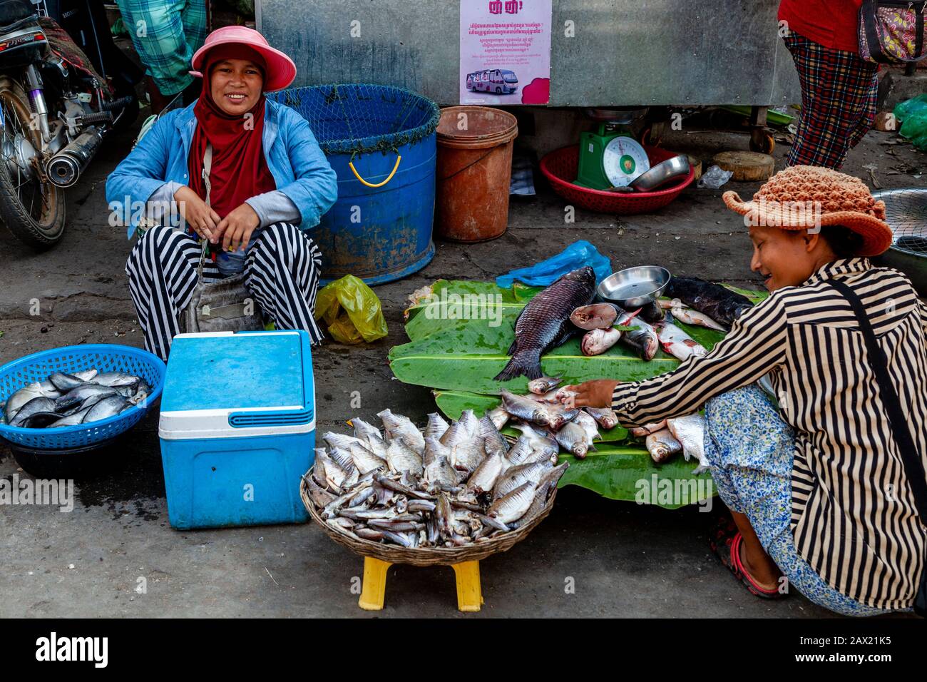 Les Femmes Locales Vendant Du Poisson Frais Au Marché Du Poisson De Psar Nath, Battambang, Cambodge. Banque D'Images