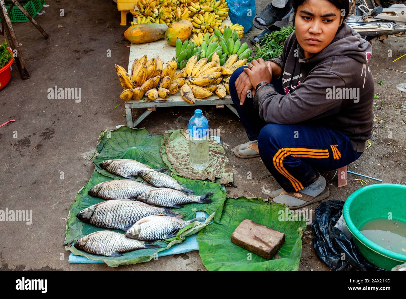 Une Femme Locale Vendant Du Poisson Frais Au Psar Nath Fish Market, Battambang, Cambodge. Banque D'Images