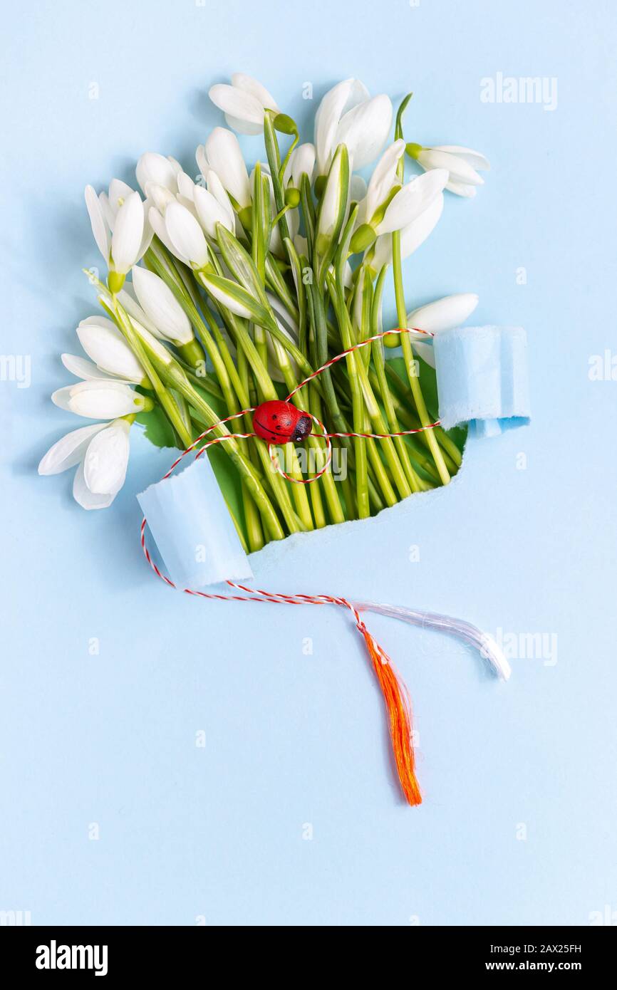 Carte de vœux de printemps faite de papier bleu déchiré avec des fleurs de Snowdrops (Galanthus nivalis). 8 mars, Martisand, Baba Marta concept de vacances. Place pour te Banque D'Images