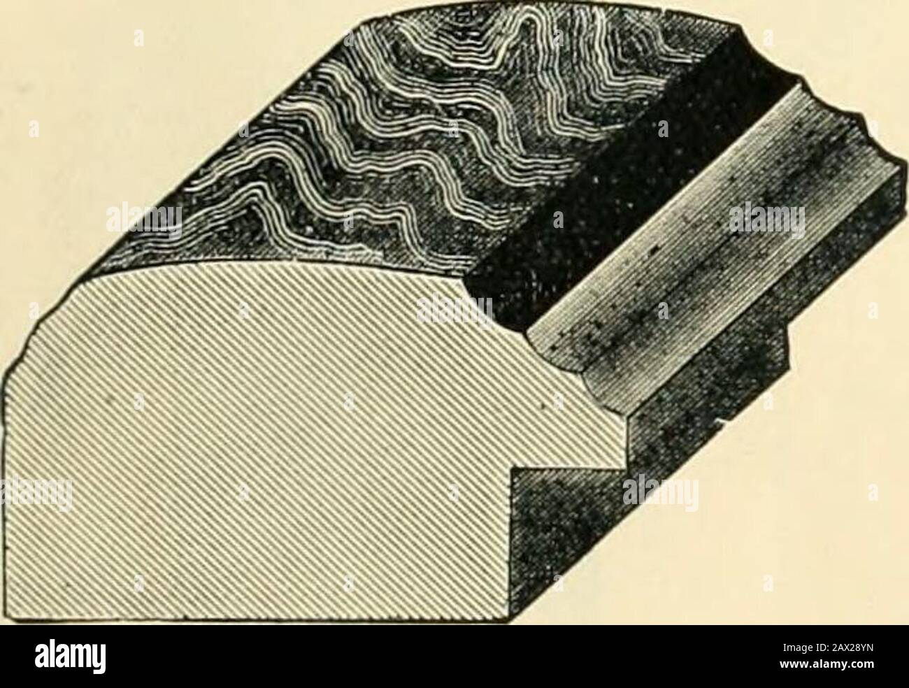 Moulures, miroirs, images et cadres. . N° 105. Haut Convexe, Imitation De Placage De Noyer Retour Et Haut, Lignes Ebony, Gilt Intérieur. 1 pouce, par 100 pieds. |3 Huile 4 50 5 50 Banque D'Images