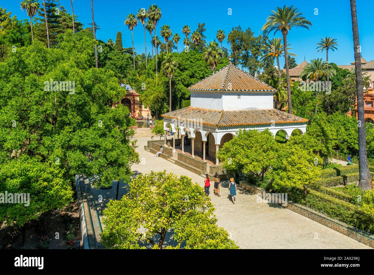 Le jardin idyllique dans les Alcazars royaux de Séville, Andalousie, Espagne. Banque D'Images