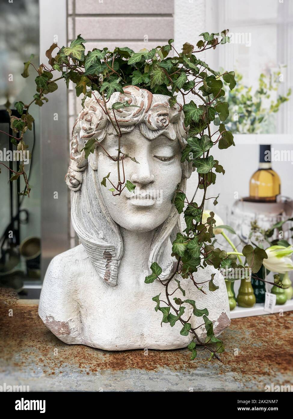 Pot de fleur de gypse en forme de tête antic de déesse avec grogner des plantes vertes. Décoration élégante. Banque D'Images