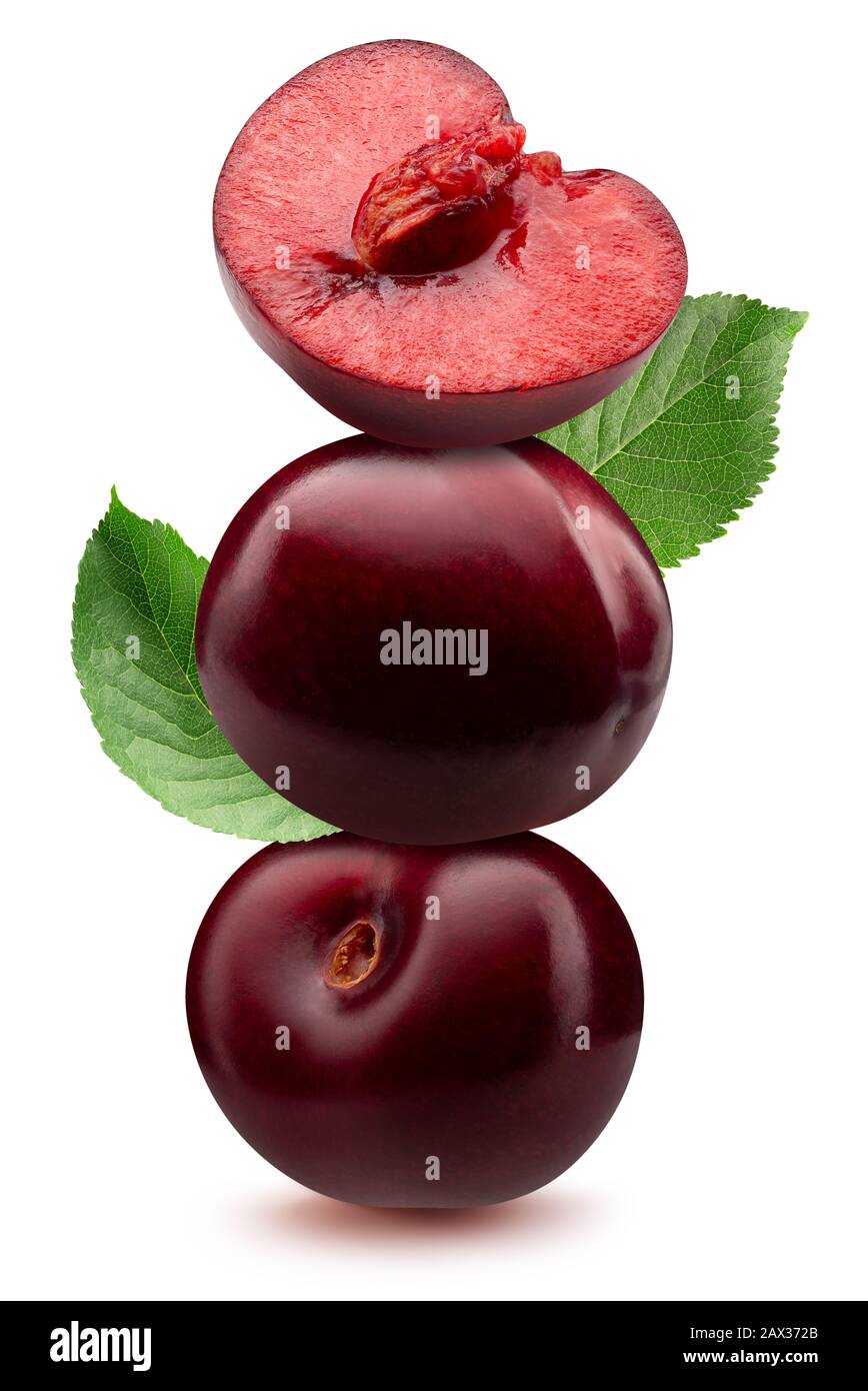 ensemble de prunes violettes isolées sur un fond blanc. Banque D'Images