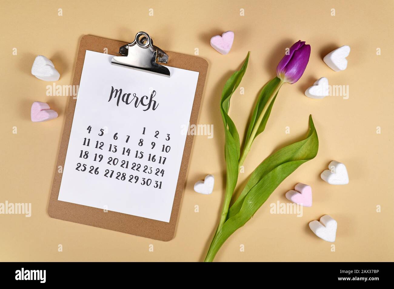 Concept de mois de mars avec presse-papiers avec feuille de calendrier, fleur de printemps de tulipe violette et guimauve hearst sur fond crème, plat Banque D'Images