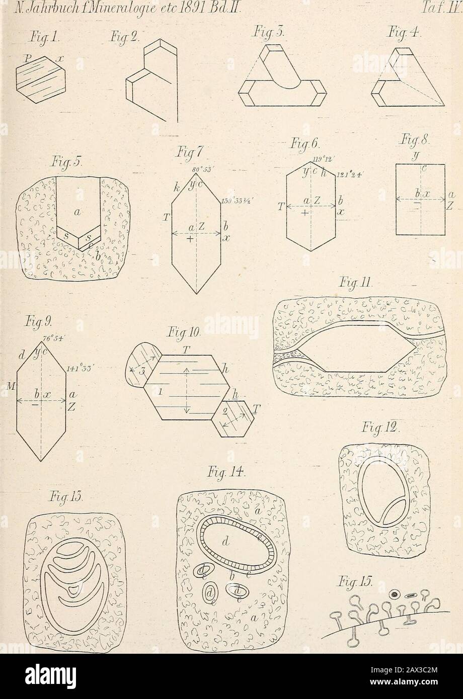 Neues Jahrbuch für Mineralogie, Géologie et Paläontologie . Ovis argaloides Mehring und Ibex sp. FOSS. Aus Mähren.Fig i«, ?b.3b ii 4 V in nat.gr, die anderen 3 4 nal gr. IitkJTist.vjIffe.Tiri/, Bonrv. N. Jalirbuch F. Min., etc. 4891 Bd TAF.V Banque D'Images