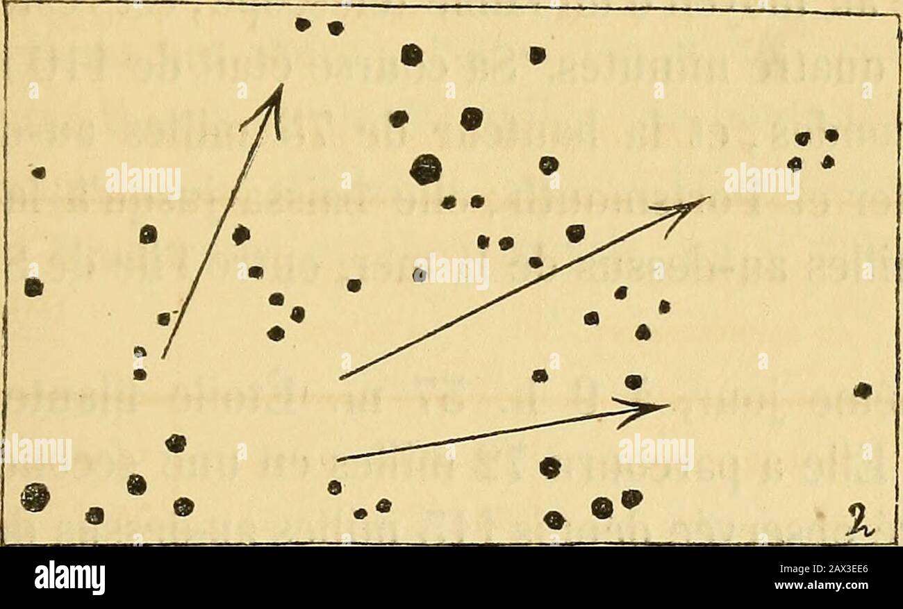 Bulletins de l'Académie royale des sciences, des lettres et des beaux-arts de Belgique . nus,et le n° 4 ont été observés en trois lieux diffents. Les-quisse de la page suivante donne la section de ce derniertéore à travers les constellations de Céphée, du Cygneet de Pégase, telle a été observée à Hawkhurst, àGreenwich et à Hampton en Middlesex. Ces courbes, dé-duites séparément des observations indépendantes, ne dif-fèrent nulle part, pour ces deux téléores, de plus decinq milles du trajet meyen quon a adopté dans la figure. La vitesse ainsi que la hauteur du n° 3 sont exagrées Banque D'Images