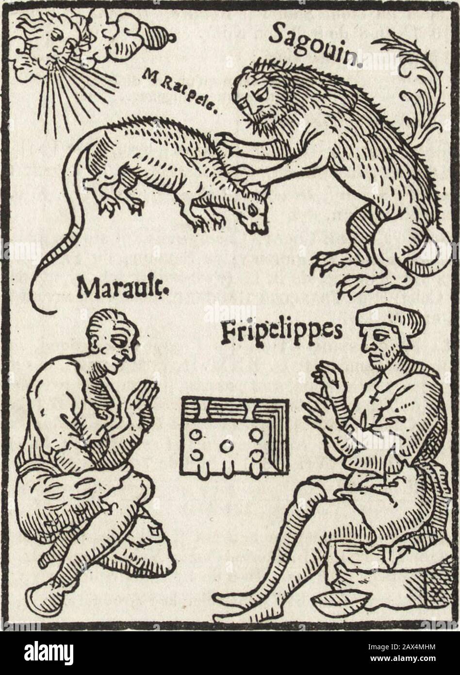www.flickr.com/photos/internetarchivebookimages/tags/book... . ainsi : Par mon ame. Il est Grant foyson,Grant année et grande saison... Sur la suite : une épigram latine en vers hendécasyllabiques, la traduction française de cette épicram par CHARLES FONTAINES [sic] etun Huislain envoyé a Marot par ung sien amy. Le v° du dernier F. est blanc. 6- le RABAIS du || caquet de Fripelippes et do Marot dict || Rat peleadictione Auec le commentaire. || Faict par Mathieu de boutigni pa- || ge demaistre Francoys de Sagon secr[sic] 11 taire de Labbe de sainct Eburoult.S. I. n. d. [Paris, 1537], in- Banque D'Images