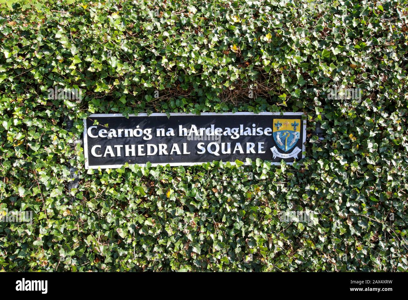 Un panneau de rue en métal orné dans une haie ivy en Irlande avec des armoiries du conseil de comté à Cathedral Square, Letterkenny, County Donegal Ireland. Banque D'Images