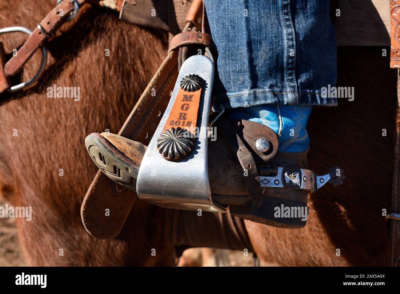 Un membre monté d'un groupe appelé Cowboys for Trump est assis sur son cheval avec ses bottes dans les étriers lors d'un rassemblement pro-Trump à New Mexicos USA. Banque D'Images