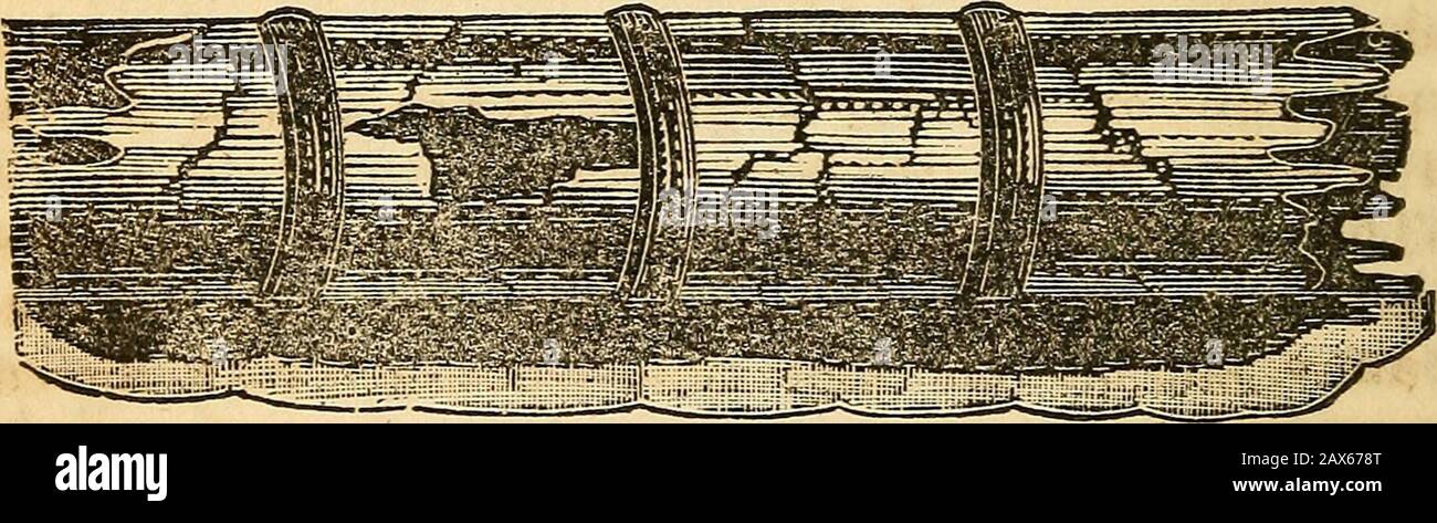 La tragédie des mers; ou, Sorrow sur l'océan, le lac et la rivière, de l'épave, de la peste, du feu et de la famine .. . raft, ou catamaran, pour transmettre à la banque quelques-uns de ces arti-cles de dispositions, &-c., qui serait le plus recherché, en cas de .notre obligation d'abandonner le navire ; mais cet élément de mécanisme s'est avéré inréparable, car il a été installé sur être abaissé dans le surf, et chaque thingon à bord perdu. Le bateau, qui avait géronier pour surprendre la gestion du catamaran, a été frappé loin des côtés par le surf, et anxiousto aussi Banque D'Images