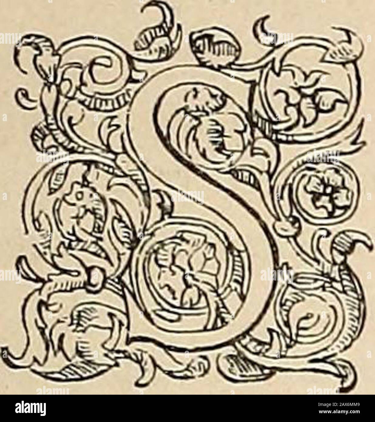 Gazette des beaux-arts . TESTAMENT DE JACQUES PALMA DIT PALMA VECCHIO TRADUIT DU LATIN PAR RENE DE MAS-LATRIE. ACHANT combien le terme de la vie est incertain, etc. En accord, moi Jacques Palma, fils de feu Antoine, de la paroisse de SanBasso, par la grâce de Dieu, sain desprit et din-telligence, quoique suite-malade de corps, crai-gnant les dangers du siècle, jai-tre, Louis Noël, curé de léglise desSS. Ubalde et Agathe de Venise, notaire, et je lai prié testament et de le compliteur après ma mort, en y ajoutant les closesordinaires. En prefmi Banque D'Images