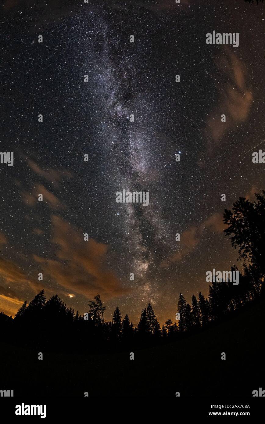 Milky Way et arbre sur les montagnes de Beskydy en République tchèque. Banque D'Images