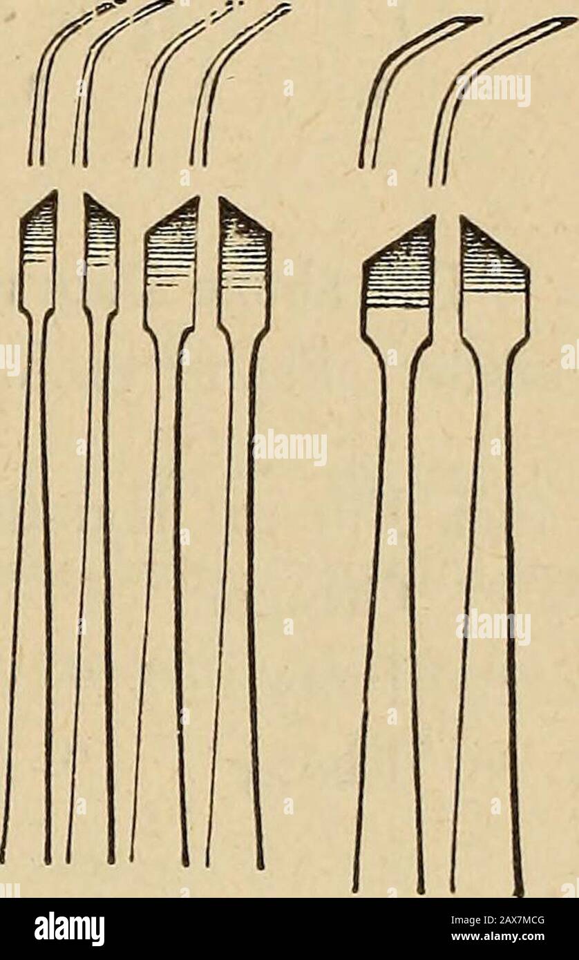 Catalogue de matériaux dentaires, meubles, instruments, etc., à vendre . f 1- 2. 3. 4. R ( & N ^ fcs ([( 6- 6. 7. 8. 9. 10. U. 12. / i 13. 14. rr r r r r 15. 16. 17. 18. 19. 20. 21. 22. 23. 24. 25. 26. 27. 28. 29 ( * I I I I OMC FPPP. 30.31.32. 33. 34. I I-35. 36. 37. 38. 39. 40. 41. 42. 43. 44. 45. £ pouces Poignées de coupe de lime, tiges tournées, extrémités de boule.Par douzaine . ? . 10 Banque D'Images