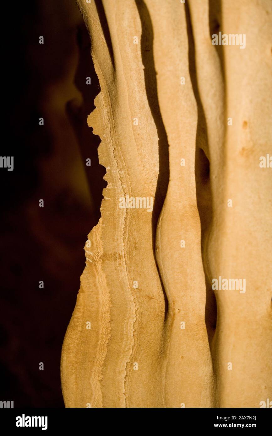 La grotte d'Al Hoota, située sur le côté sud de Jabal Akdhar, près d'Al-Hamra en Oman. Il s'agit d'un écosystème souterrain important mais fragile avec la présence d'espèces animales rares et endémiques. Banque D'Images