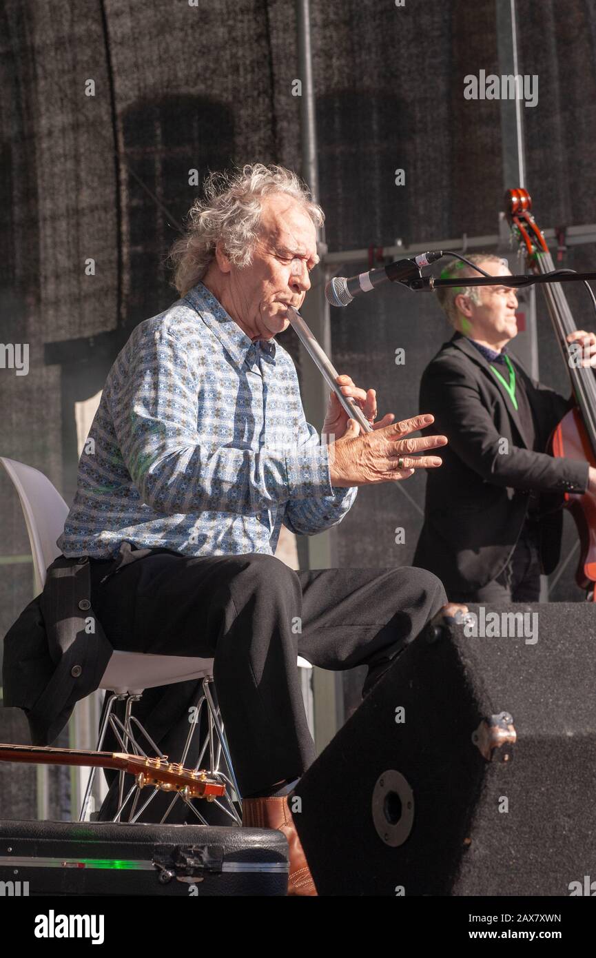 Birmingham, Royaume-Uni. 17 Mars 2019. Finbar Furey se produit à la parade de la Saint-Patrick à Digbeth. © Ken Harrison Banque D'Images