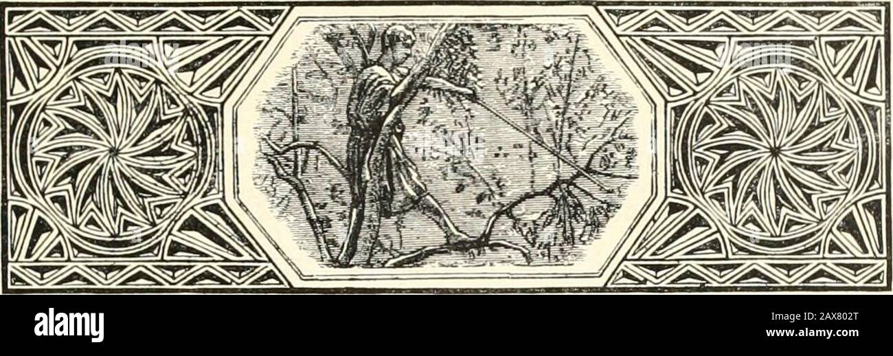 rencontre algerie homme