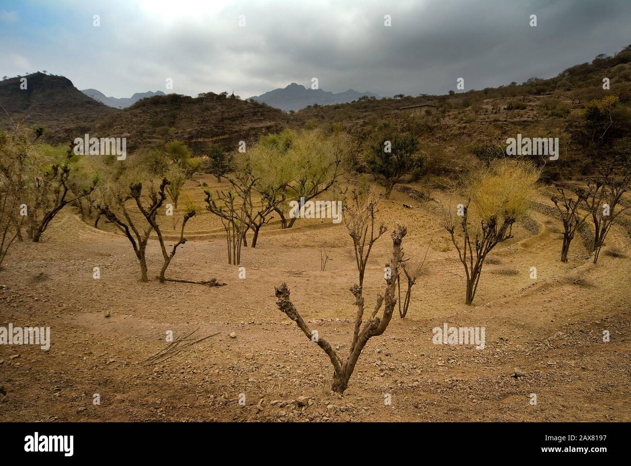Vue Sur Wadi Zabid, Yémen. Banque D'Images