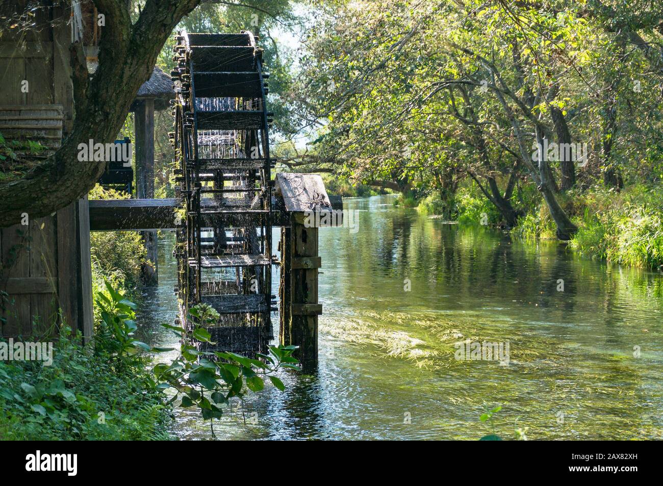 Moulin à eau sur la rivière avec des arbres verts sur le fond. Machines agricoles traditionnelles durables utilisant l'énergie hydraulique et les énergies renouvelables Banque D'Images