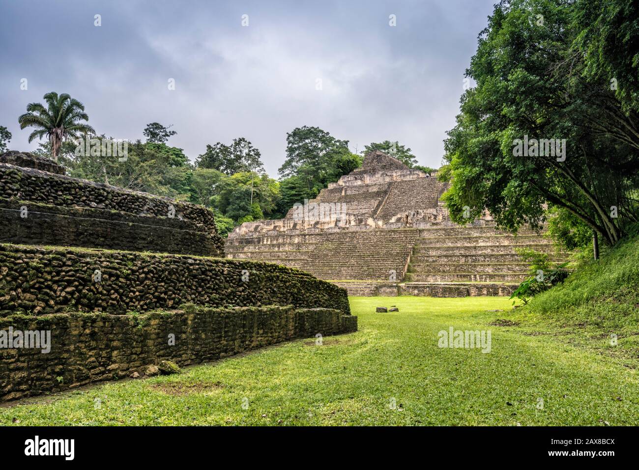 Pyramide Caana à la Plaza B, forêt tropicale, à Caracol, ruines mayas, plateau Chiquibul, district de Cayo, Belize, Amérique centrale Banque D'Images