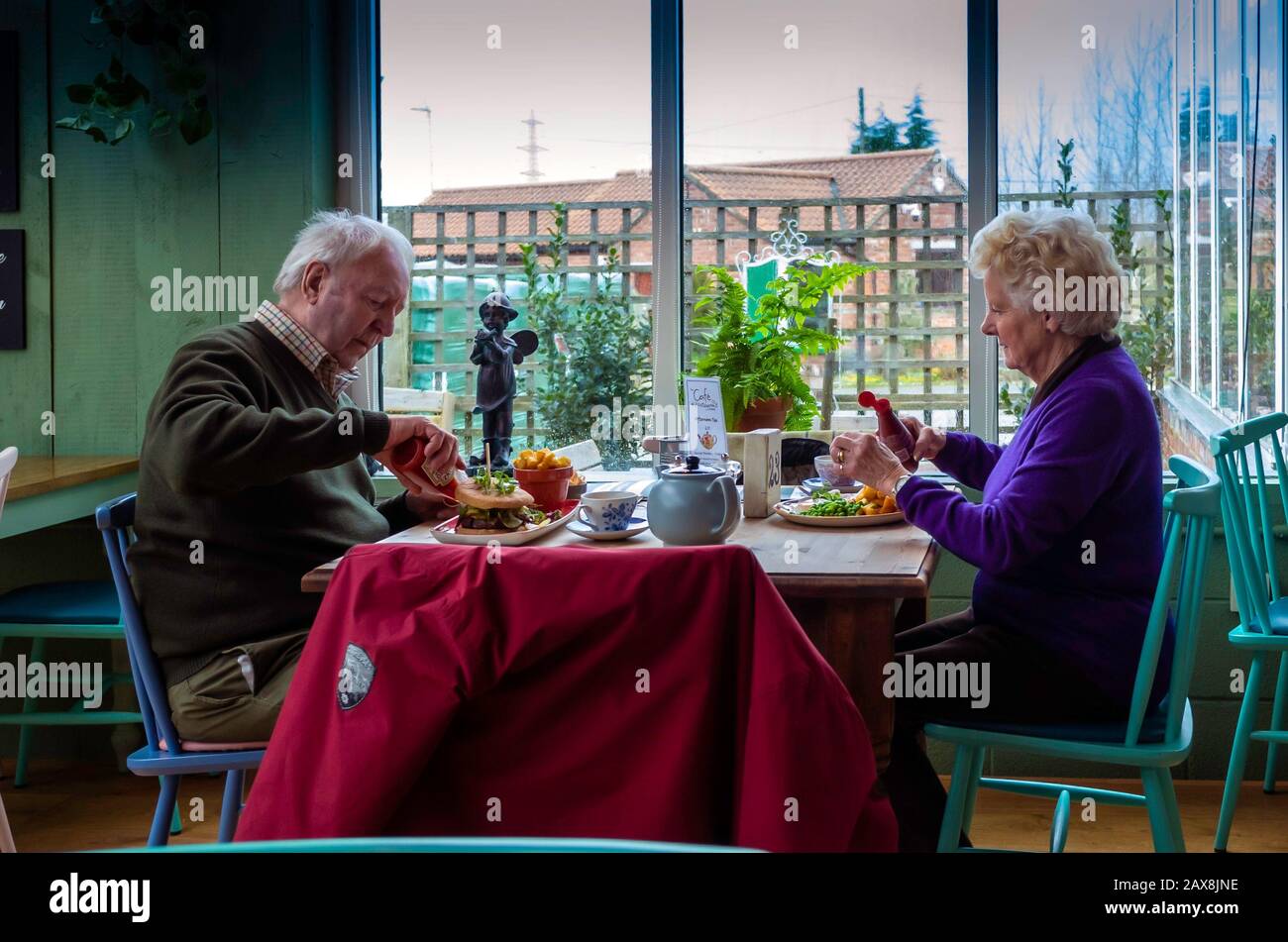Un homme et une femme de haut niveau mangeant un déjeuner dans un café situé dans un centre du jardin du Yorkshire Banque D'Images