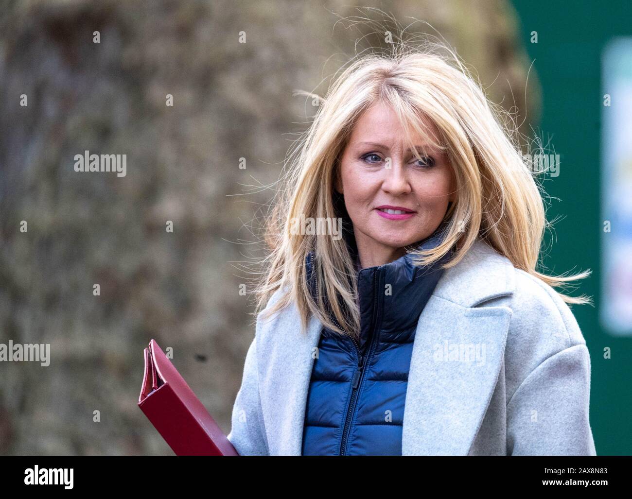 Londres, Royaume-Uni. 11 février 2020. Esther McVey Housing Minster, arrive à une réunion spéciale du Cabinet à la disucss HS2 au 10 Downing Street, Londres crédit: Ian Davidson/Alay Live News Banque D'Images