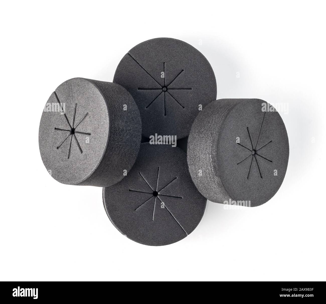 colliers de clonage en mousse noire pour hidroponics et aéroponics Banque D'Images