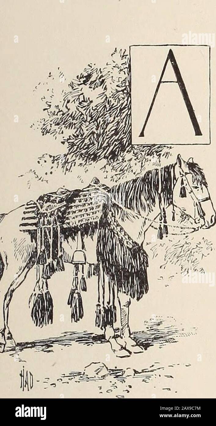 Syrie de la selle . CHAPITRE III PHOTOS DE ROCHERS SUR LA RIVIÈRE DOG — PAR DILIGENCE À DAMAS. UNE CIRCONSCRIPTION, composée de jeunes médecins et de commissionnariesfilles du Col-lege américain, a été organisée la journée avant de quitter Beyrouth. Notre destination était la montagne des Rochers Photographiés, à Dog River. David avait dékedMassoud dans de magnifiques pings orientaux, l'inévitable perle bleue fas-ramolli à chaque réin, et un clothat de selle qui aurait pu être coupé de la pièce dont Josephs manteau beaucoup de couleurs a été fait. Nous avons commencé directement après le déjeuner, pour le trajet jusqu'à Dog River et le retour était long. Premier f Banque D'Images